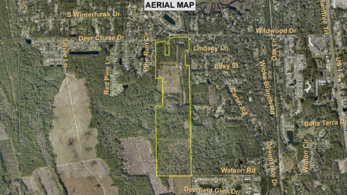 The yellow area shows where the proposed Osceola Lakes development would have been constructed. | St. Johns County