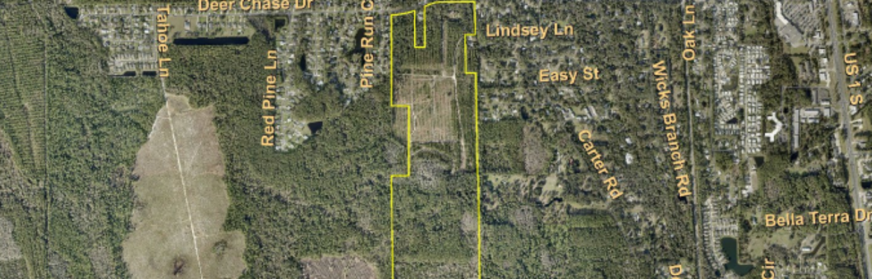 The yellow area shows where the proposed Osceola Lakes development would have been constructed. | St. Johns County