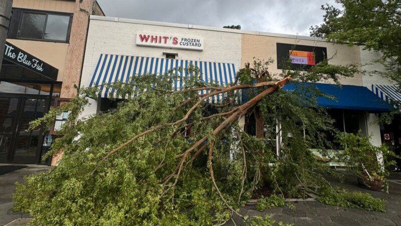 Featured image for “First Coast awakes to flooding and power outages after Helene”