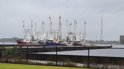 Featured image for “As Milton makes landfall, Jacksonville shelters still have space; Gate gas stations are closed”