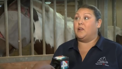 Featured image for “Hundreds of horses sheltered in Jax during Hurricane Milton”