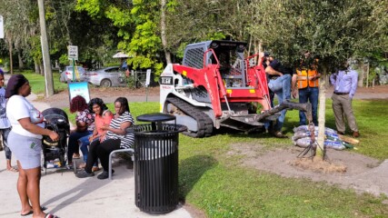 Featured image for “Shade is growing at Jacksonville’s bus stops”