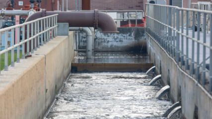 Featured image for “PHOTO ESSAY | What happens after Jacksonville flushes”