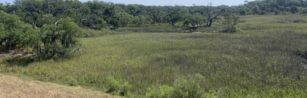 Amelia Island land