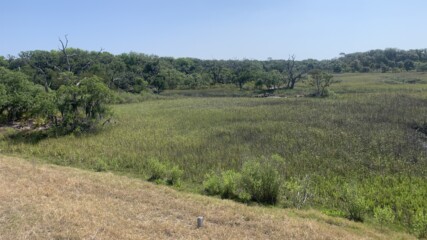 Featured image for “400 natural acres preserved on Amelia Island”