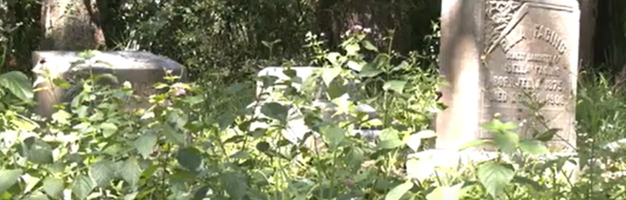 Graves at Mount Herman Cemetery in Jacksonville.