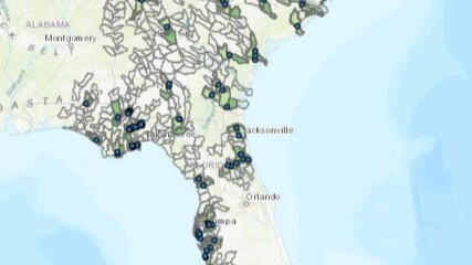 Featured image for “Hurricanes may have spread invasive species across Florida”