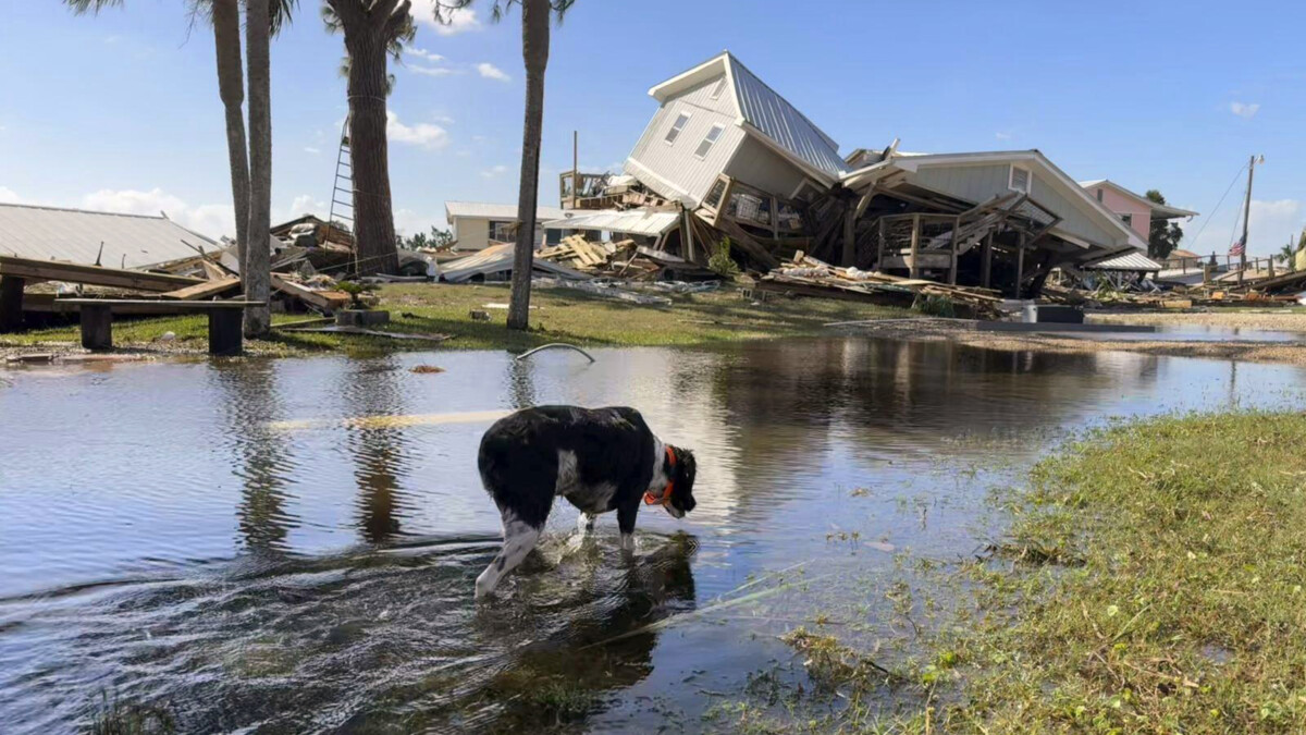 storm damage after insurance reform