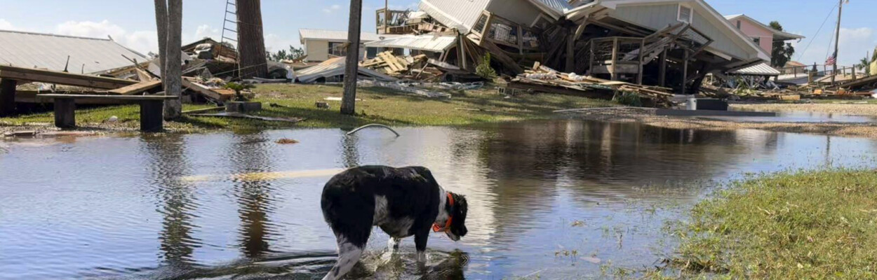 storm damage after insurance reform