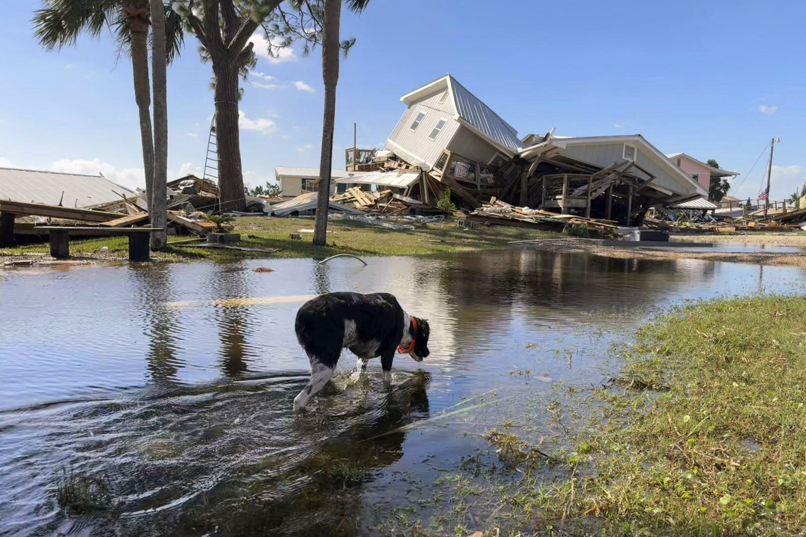 storm damage after insurance reform