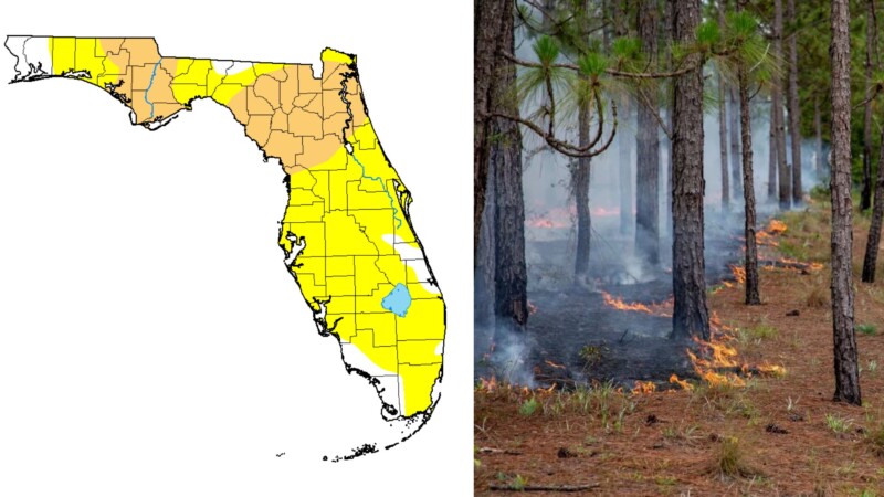 Featured image for “Drought persists in North Florida despite recent rains”