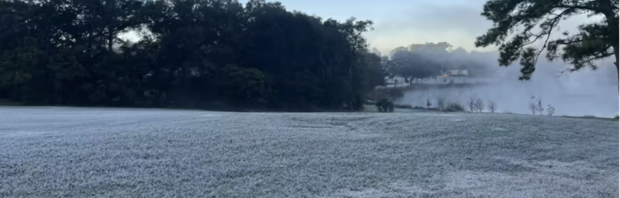 Chill and frost in Florida