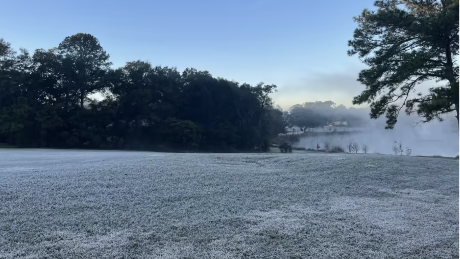 Chill and frost in Florida