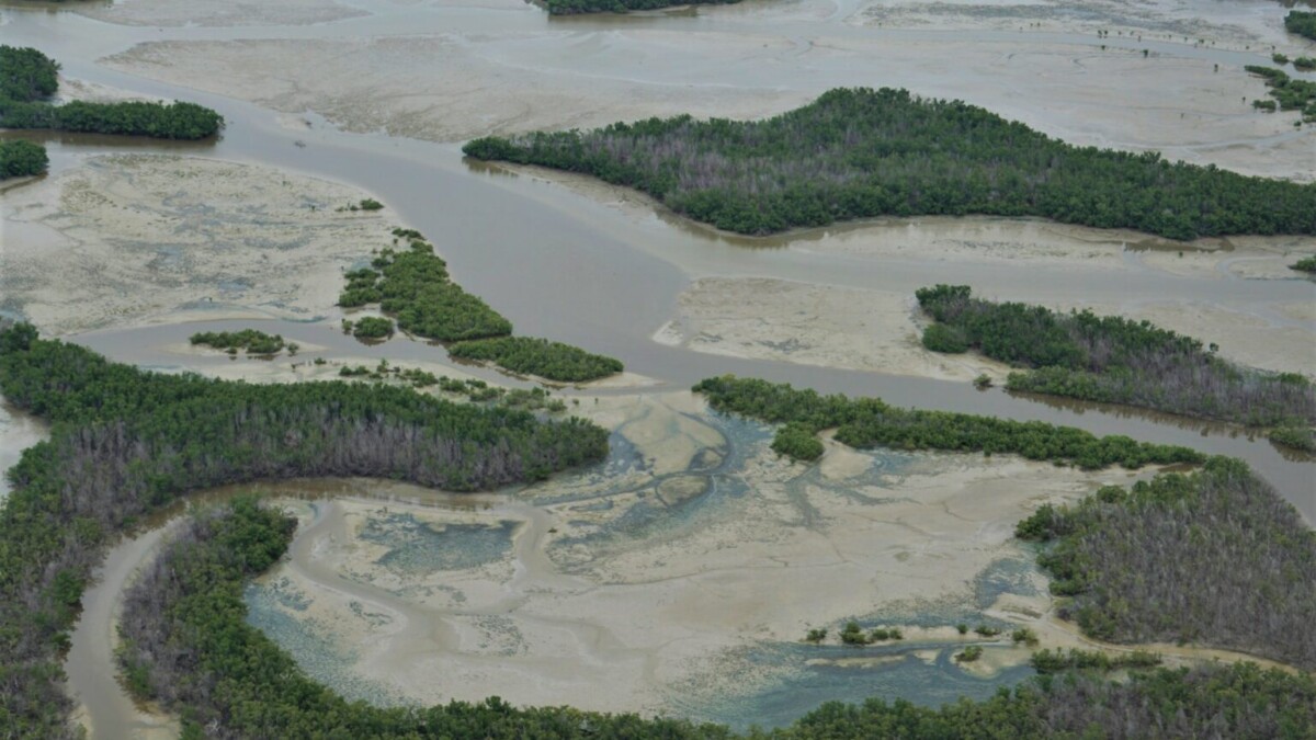 The Everglades