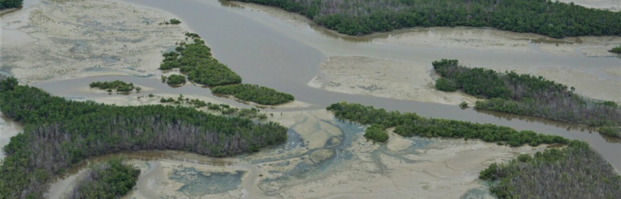 The Everglades