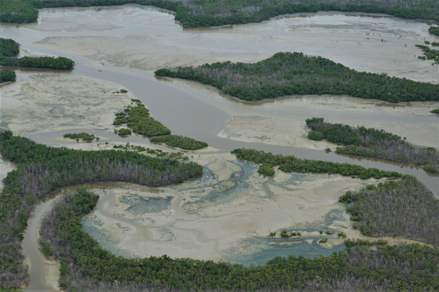 The Everglades