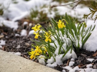 Featured image for “January brought record cold; February means winter heat”