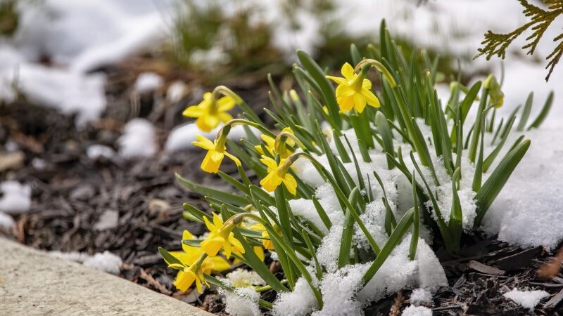 Featured image for “January brought record cold; February means winter heat”