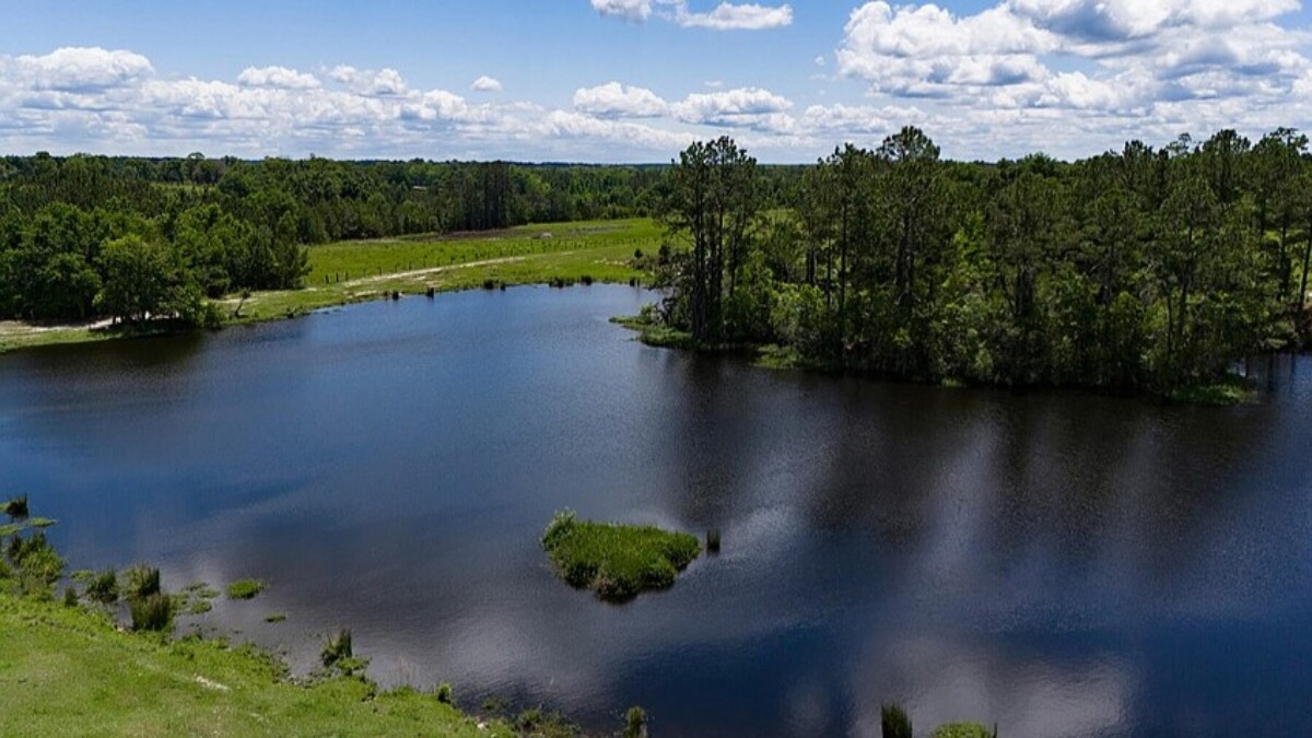 Agrihood property in Clay County