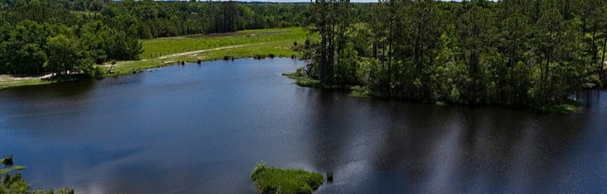 Agrihood property in Clay County