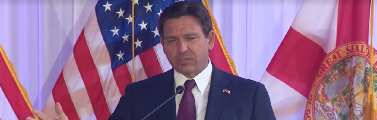 DeSantis announcing state DOGE task force