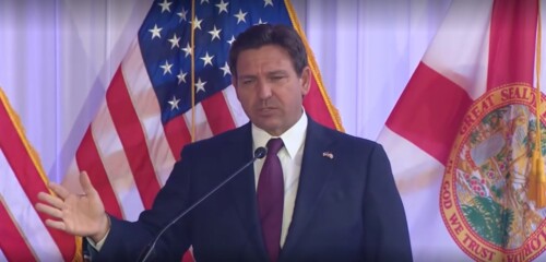 Featured image for “DeSantis announces state DOGE to root out waste”