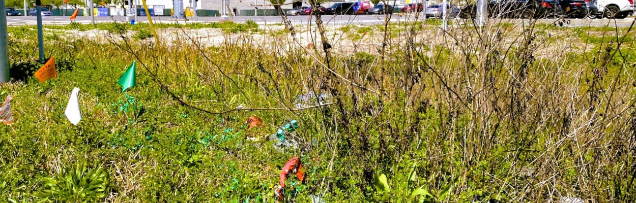 Litter along the road