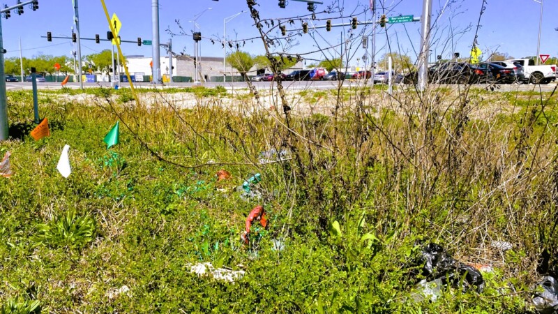 Featured image for “Jacksonville launches campaign to attack litter and blight”