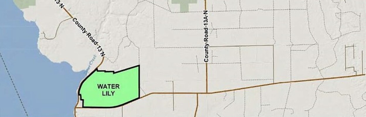 Water Lily site map