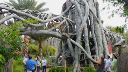 Featured image for “Jacksonville zoo is now a botanical garden too”