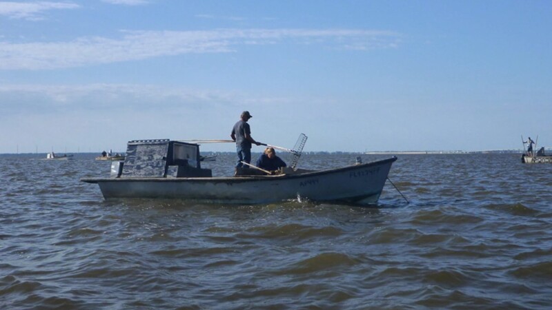 Featured image for “No more random boat inspections in Florida”