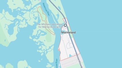 Featured image for “Politics get ugly after mayor’s death in tiny Marineland”