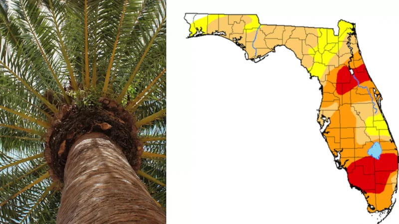Featured image for “99% of Florida is in a drought, and it’s getting worse”