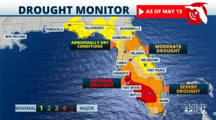 Featured image for “Florida’s drought improves with recent rains”