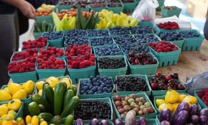 Featured image for “WHAT TO DO | Alex Trendler Reads Your Mind; Amp farmers market; Batty bike tour”