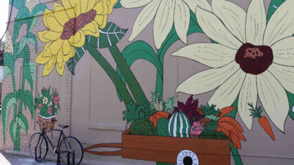 Featured image for “BIT OF JOY | Hastings mural”