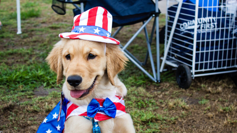 Featured image for “WHAT TO DO | Fernandina fireworks; Jax Zoo Tunes and Blooms; West City Sunday Funday”