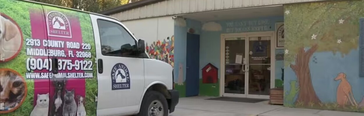 Clay Safe Animal Shelter