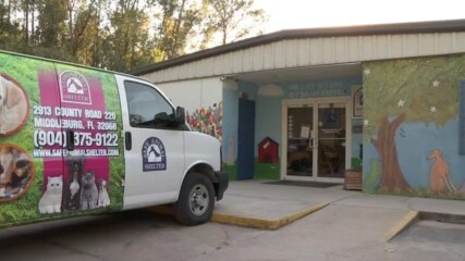Featured image for “Clay animal shelter could close due to road construction”