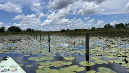 Featured image for “BIT OF JOY | Fence removed from Clay County lake”