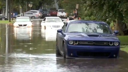 Featured image for “Flooding continues to distress San Marco residents”