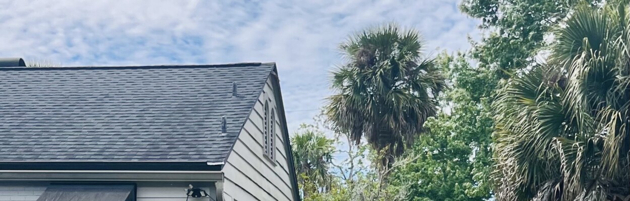 houses with trees