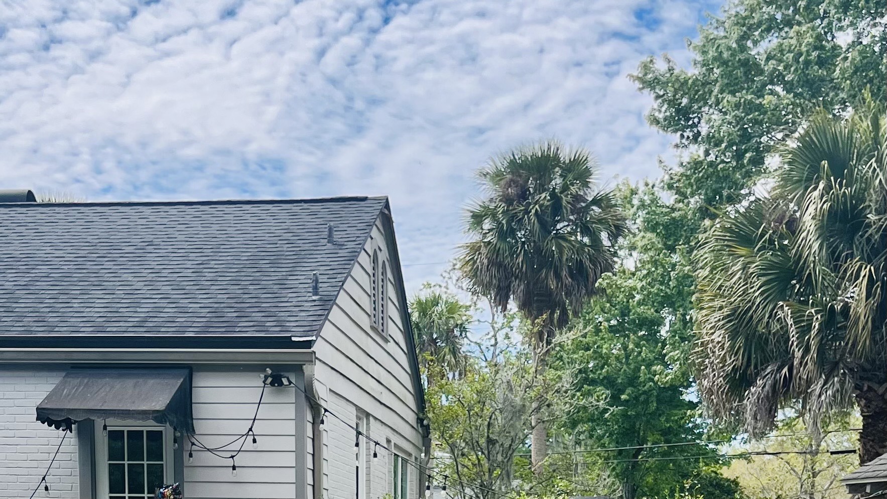 houses with trees