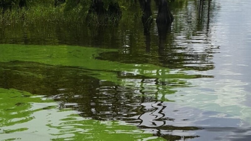 Featured image for “Sewage sludge in river basin could cost $1B for cleanup”