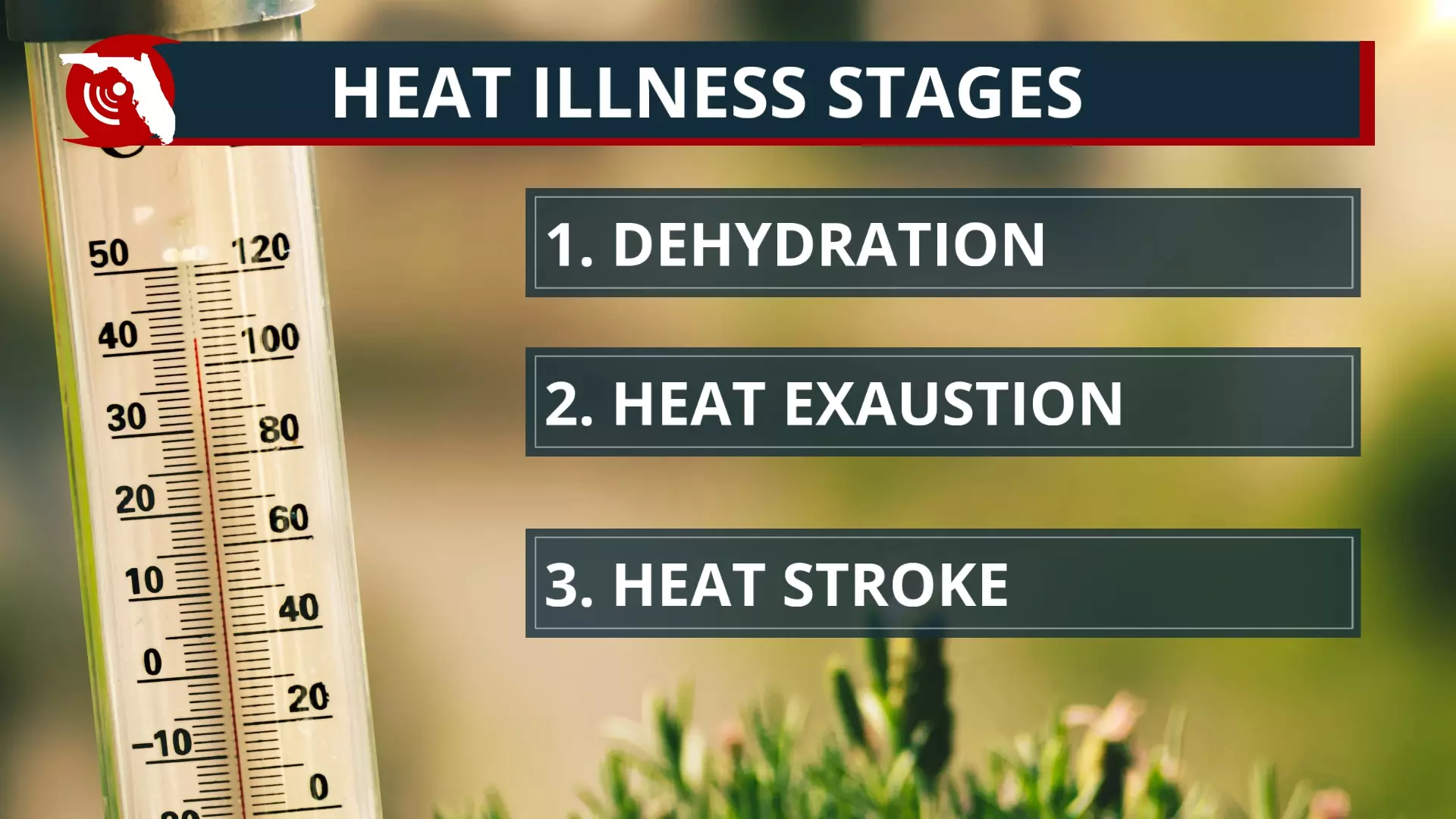 fl_heat_ill.jpg