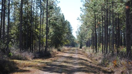 Featured image for “Developer expands planned homes in Clay County”