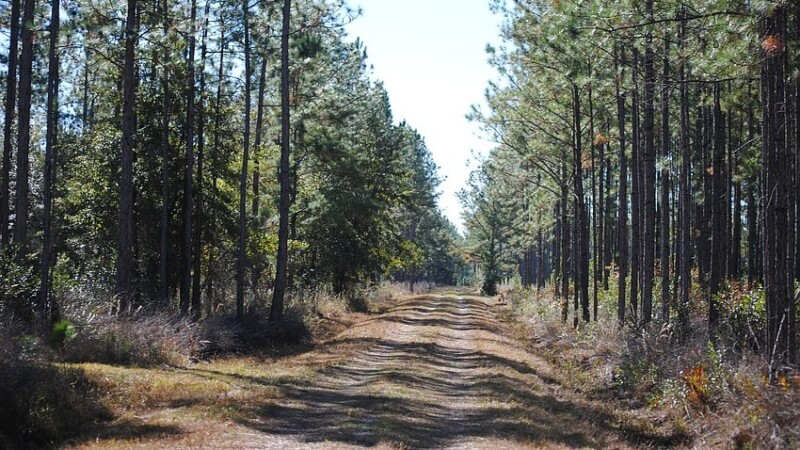 Featured image for “Developer expands planned homes in Clay County”
