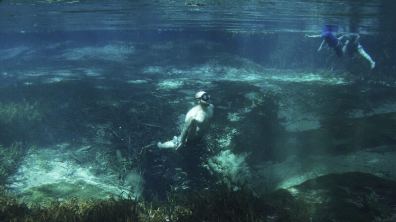 Featured image for “Florida’s once-pristine springs are under growing threat”