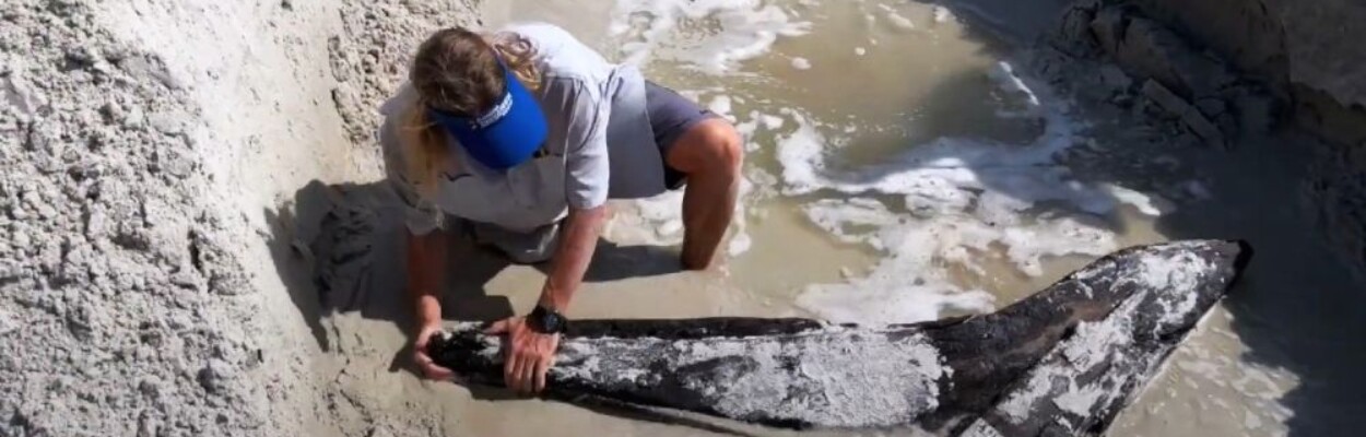 Chuck Meide looks at a piece of the 19th century shipwreck that washed ashore