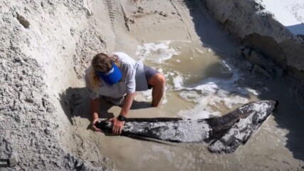 Featured image for “Pieces of 19th century shipwreck wash ashore on Matanzas Beach”
